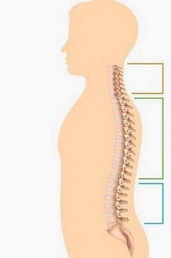 defeat osteochondrosis of different parts of the spine